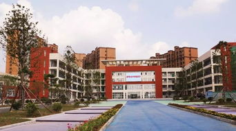 京山城區喜迎新學府 高品質、高顏值教育新標桿——溫州市黃龍第一小學管理入駐