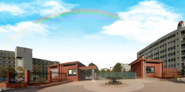 溫州教育新篇章 黃龍第一小學引領2019年教育創新