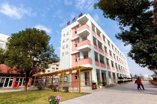 樂清五校入選溫州市青少年創客教育基地，黃龍一小特色解析