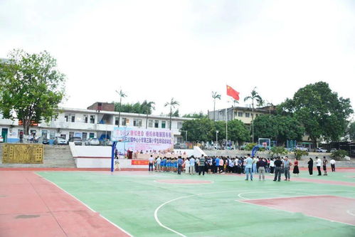 跨越校區的活力盛典 石龍鎮中心小學第三屆小學生田徑運動會于石龍二中成功舉辦
