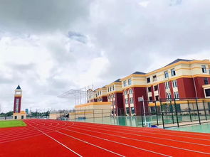 平湖再添優質教育新地標 溫州市黃龍第一小學下月啟用，校內設計亮點超前