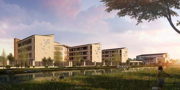 黃龍片區新添教育力量 建筑面積近三萬平方米的實驗小學即將開建